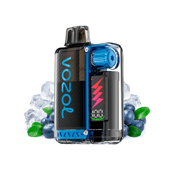 Vozol Vista Plug 2+10 Kit